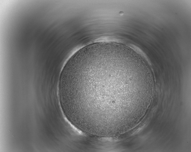 X0000067490855200604101253