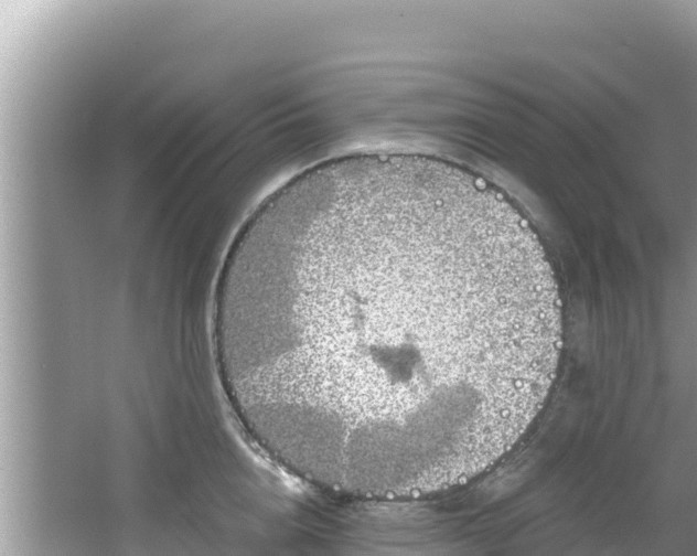 X0000067490856200604101253