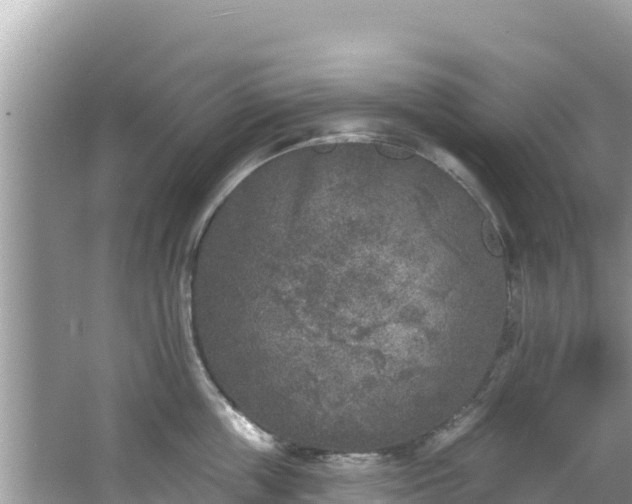 X0000067490859200604101253