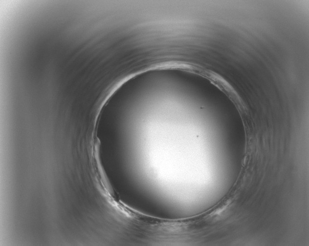 X0000067490860200604101253