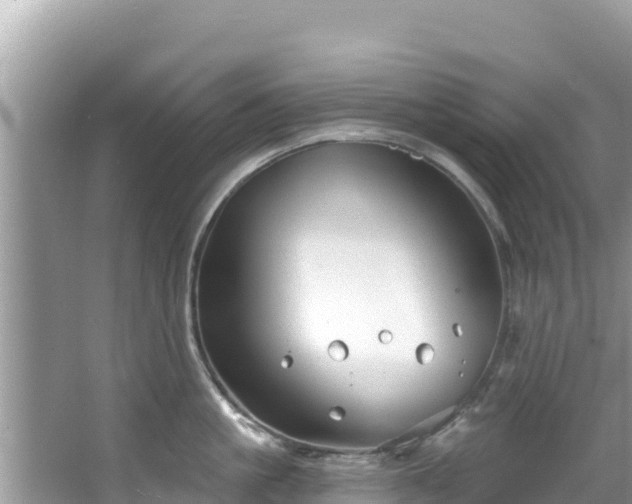 X0000067490861200604101253