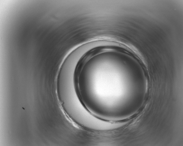 X0000067490862200604101253