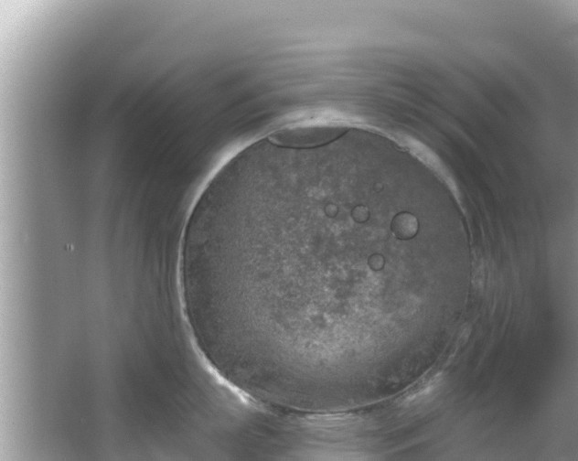 X0000067490863200604101253