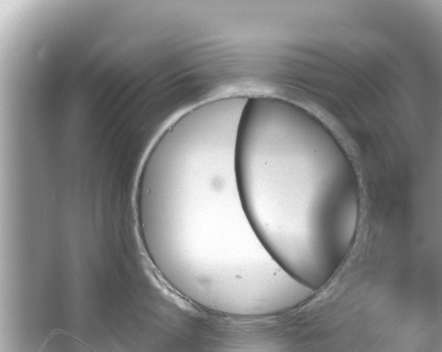 X0000067490864200604101253