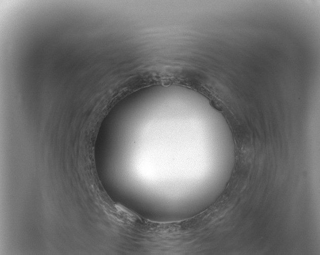 X0000067490865200604101253