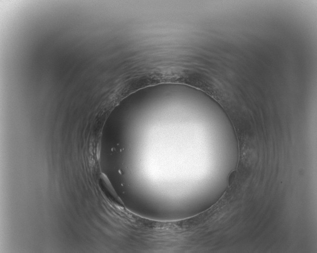 X0000067490866200604101253