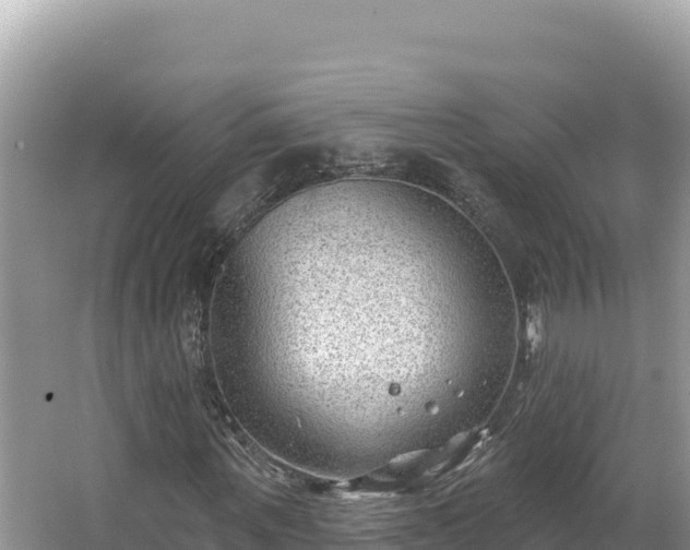 X0000067490867200604101253