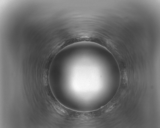 X0000067490868200604101252