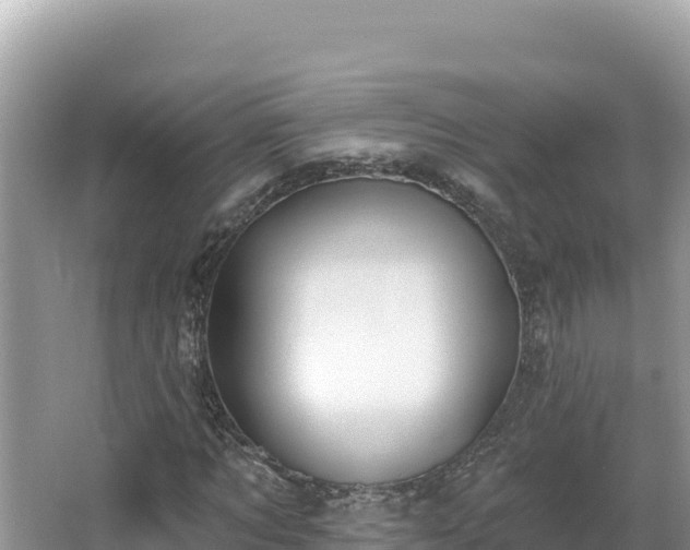 X0000067490869200604101252