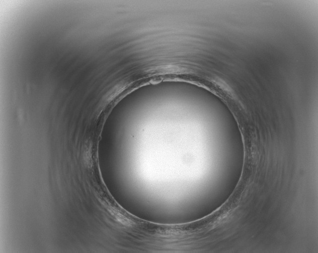 X0000067490873200604101252