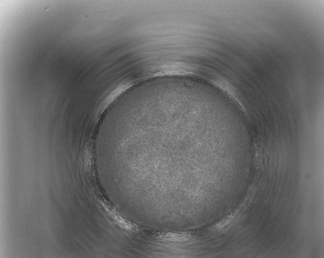 X0000067490874200604101252