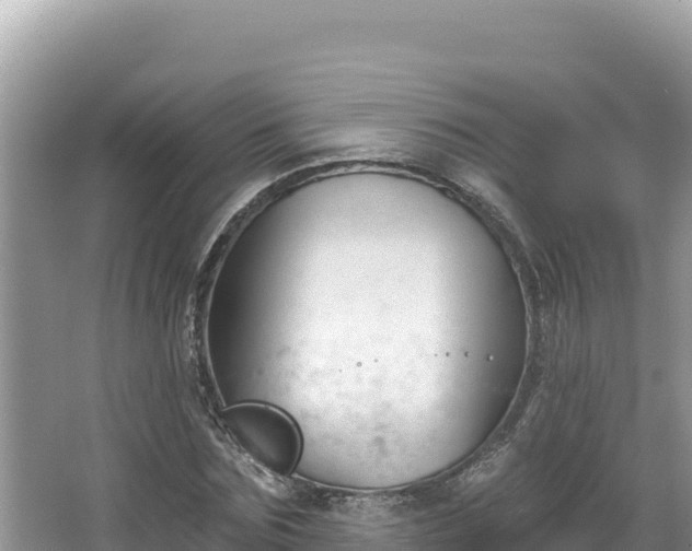 X0000067490875200604101252