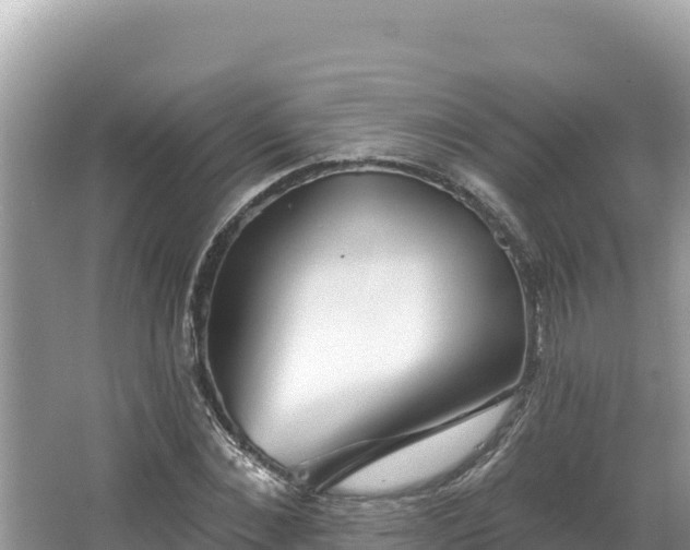 X0000067490876200604101252