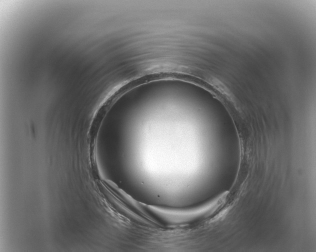 X0000067490877200604101252