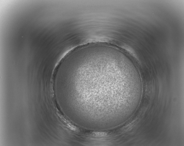 X0000067490878200604101252