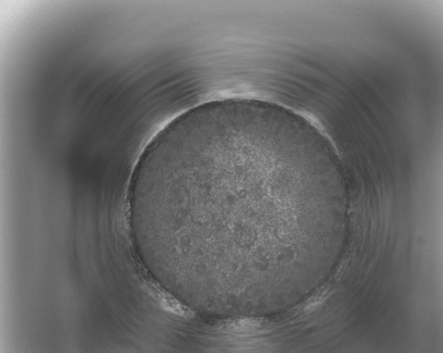 X0000067490879200604101252