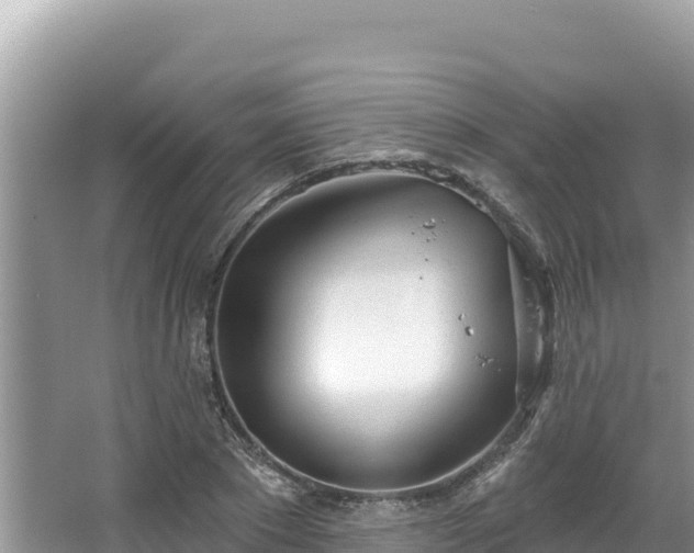 X0000067490881200604101252