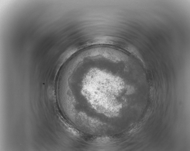 X0000067490882200604101252