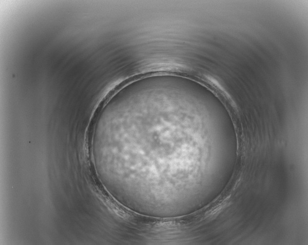 X0000067490883200604101252