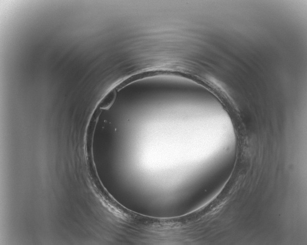 X0000067490884200604101252