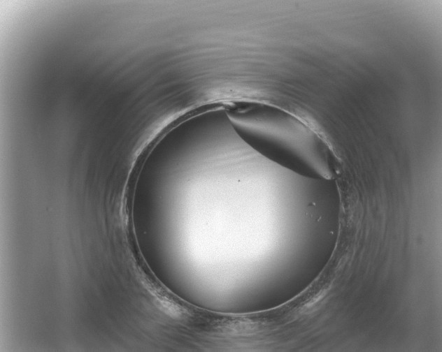 X0000067490885200604101252