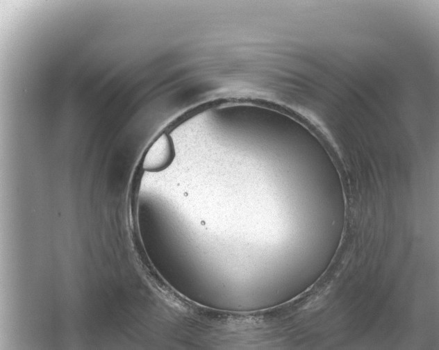 X0000067490887200604101252