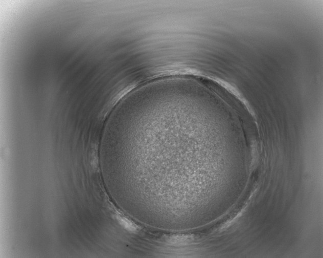 X0000067490889200604101252