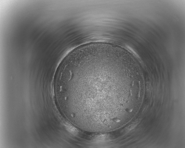 X0000067490891200604101252