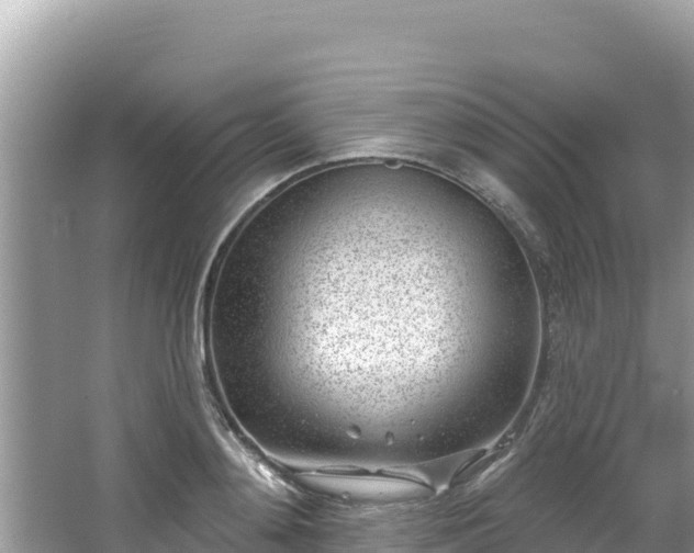 X0000067490892200604101252