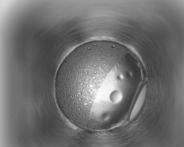 X0000067490895200604101252