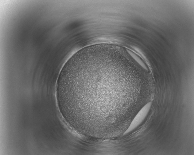 X0000067490899200604101252