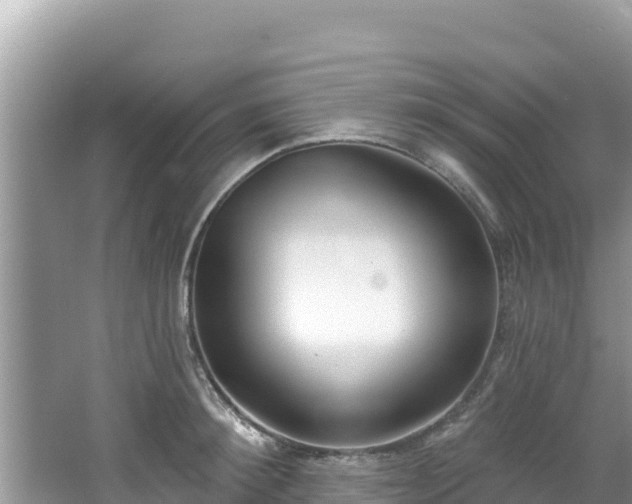 X0000067490900200604101252