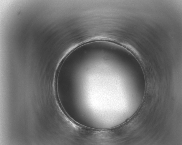 X0000067490902200604101252