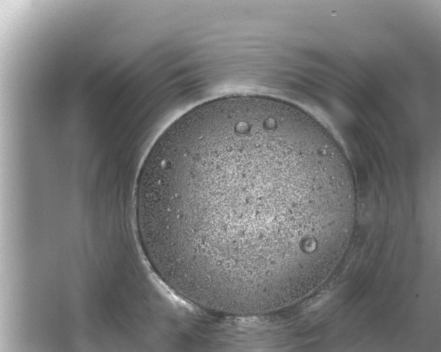 X0000067490903200604101252