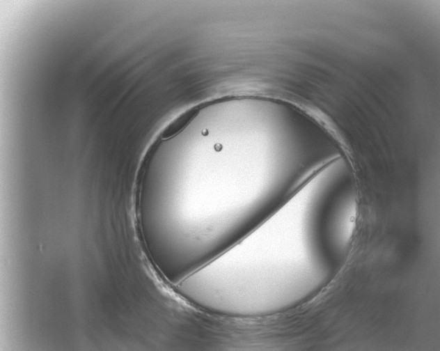 X0000067490904200604101252