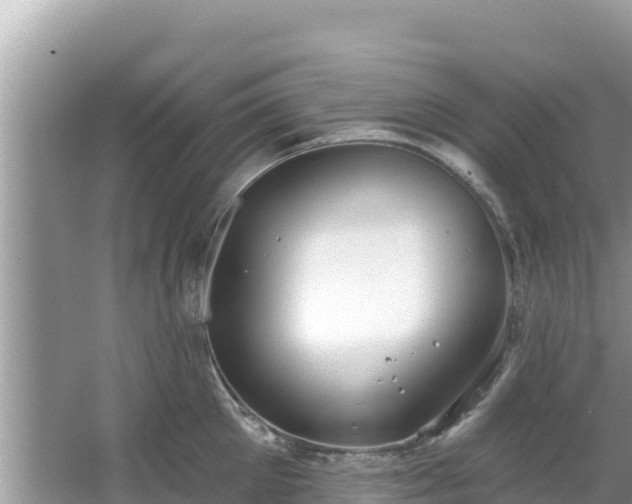 X0000067490905200604101252