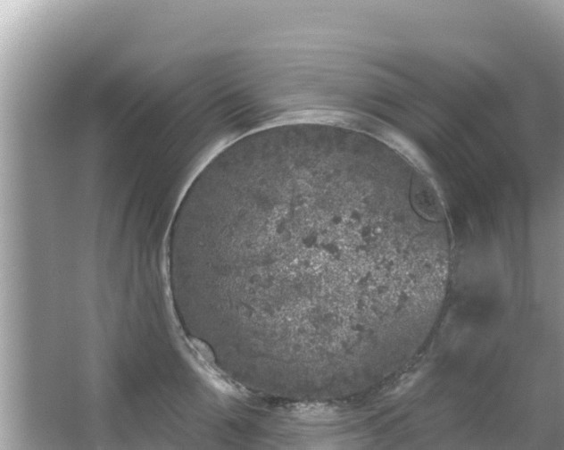 X0000067490907200604101252