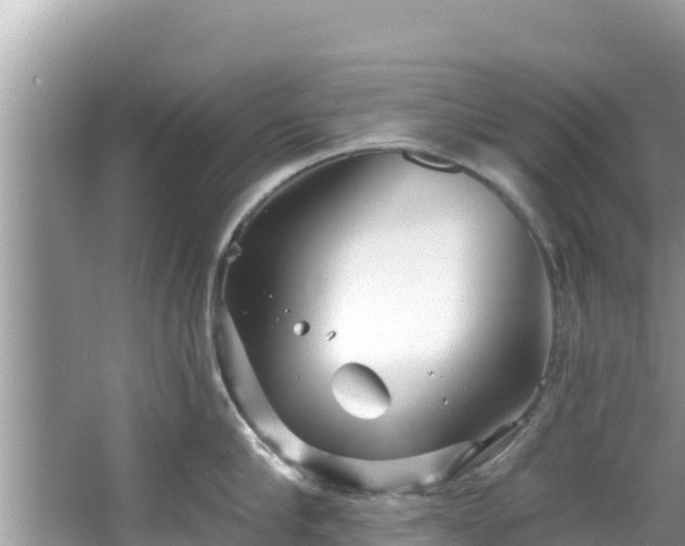 X0000067490910200604101252