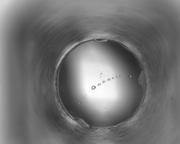 X0000067490912200604101252