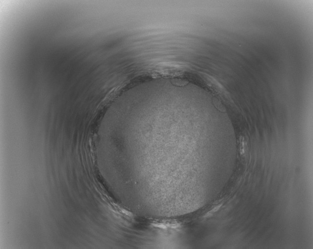 X0000067490915200604101251