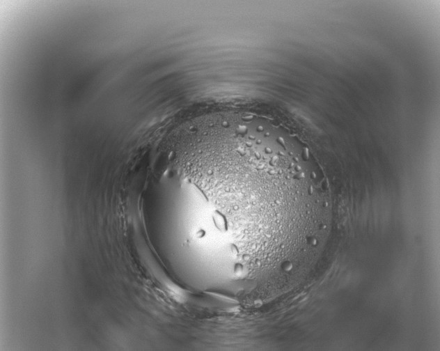 X0000067490917200604101251