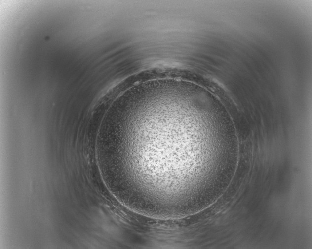 X0000067490919200604101251