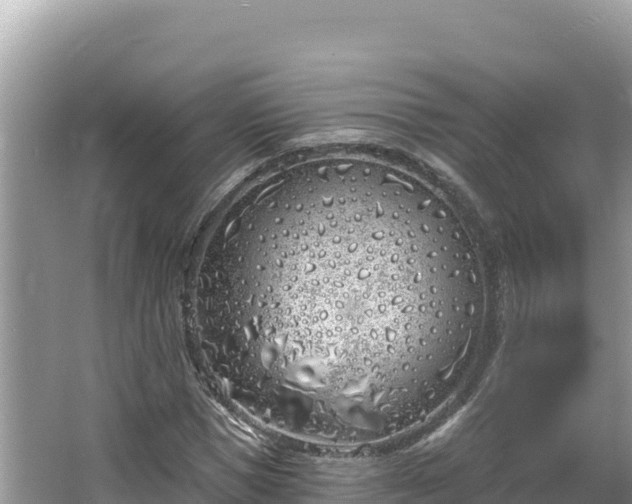 X0000067490921200604101251