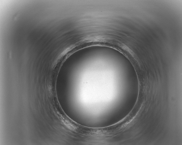 X0000067490922200604101251