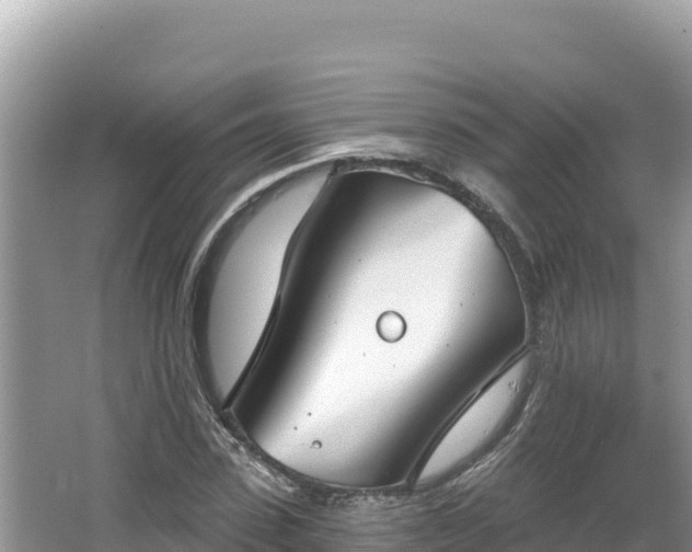 X0000067490923200604101251