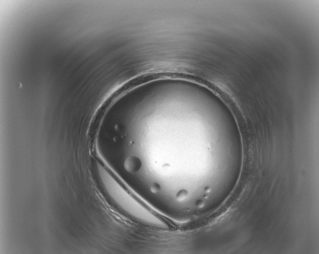 X0000067490925200604101251