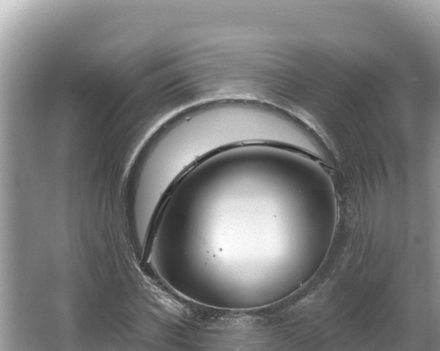 X0000067490926200604101251