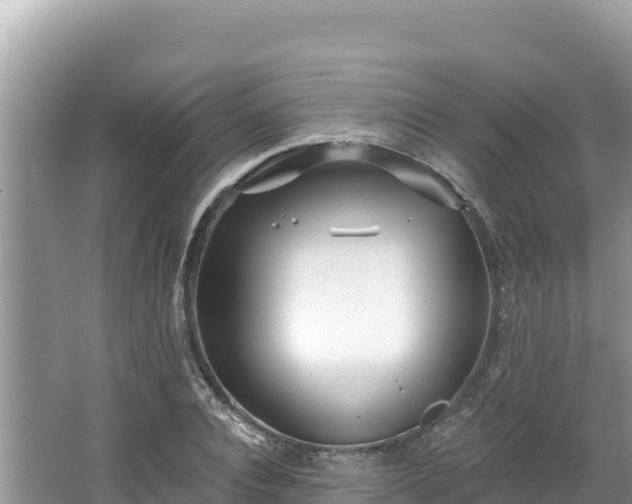 X0000067490928200604101251