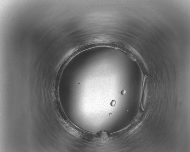 X0000067490930200604101251