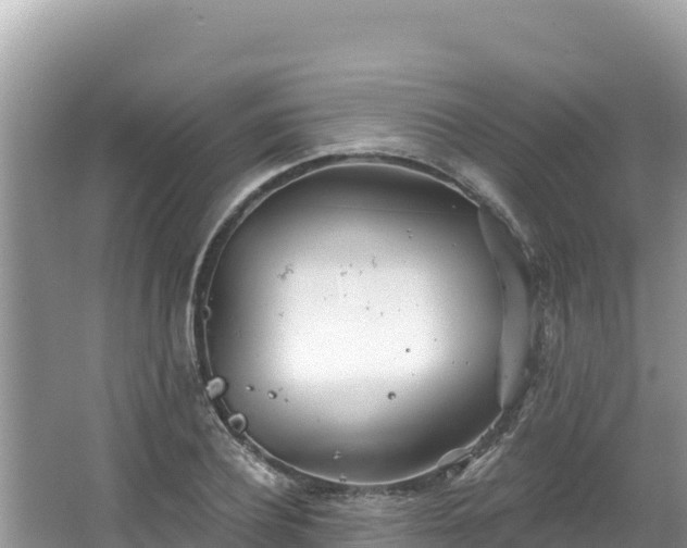 X0000067490932200604101251